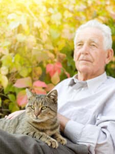 Senior Home Care Taft CA - Should Your Senior Get a Cat?