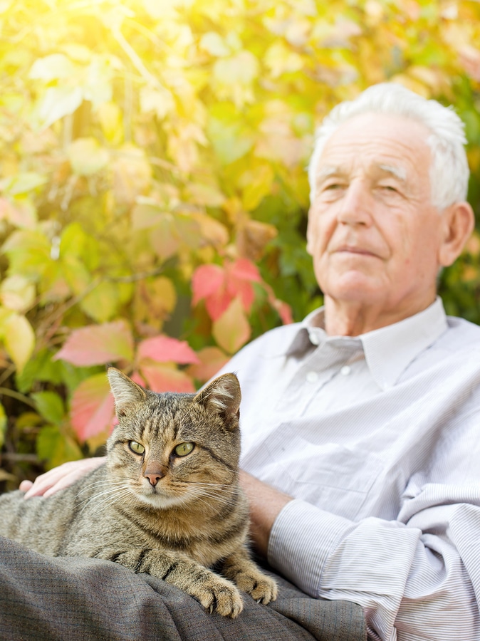 Senior Home Care Taft CA - Should Your Senior Get a Cat?